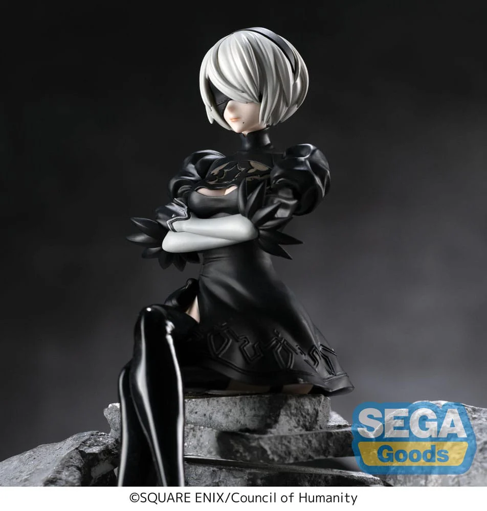 2B PM Perching Sega - Image 5