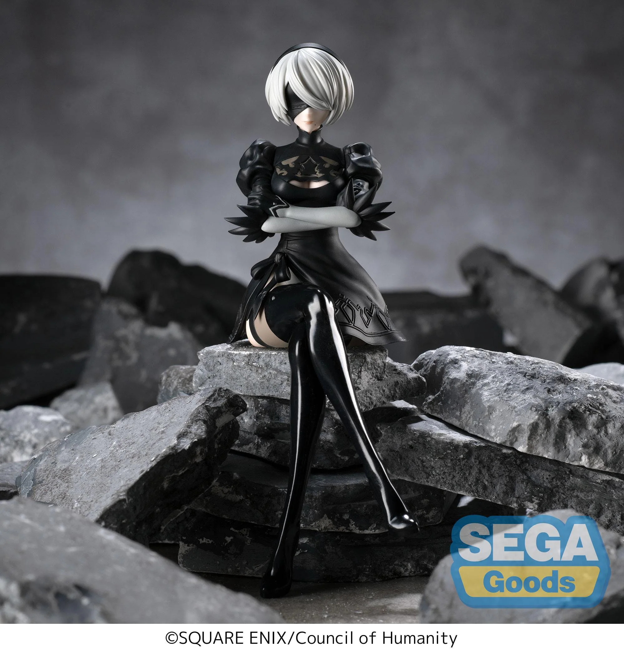 2B - PM Perching - Sega