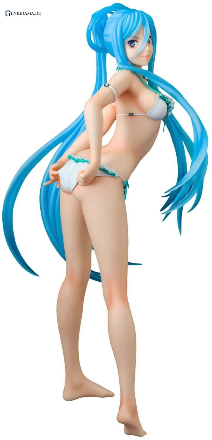 Arpeggio of Blue Steel -Ars Nova- DC Takao Swim Wear Figure (PVC Figure)