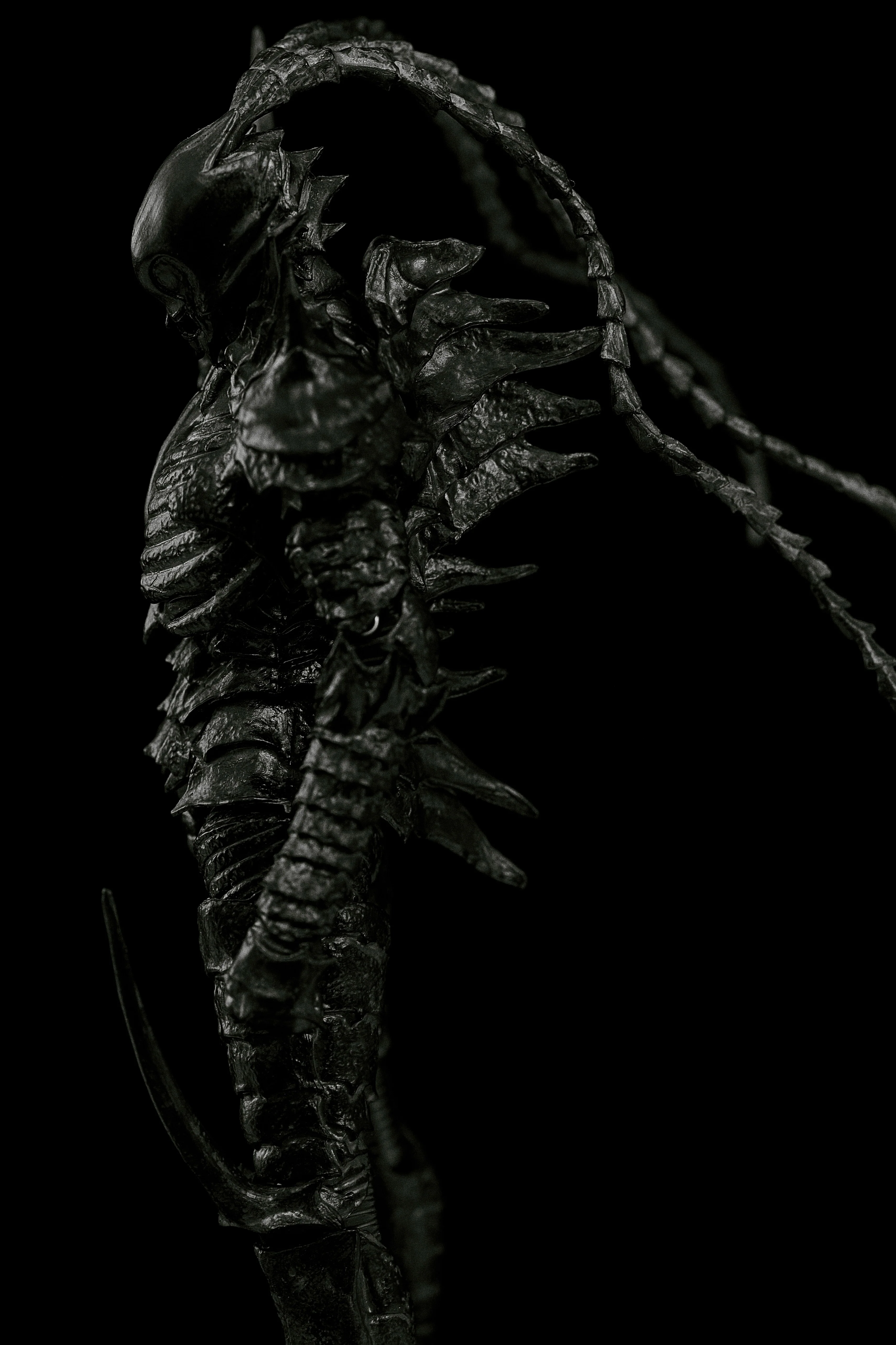 Black Gauna Nayuta Abara T.E.S.T - Image 7