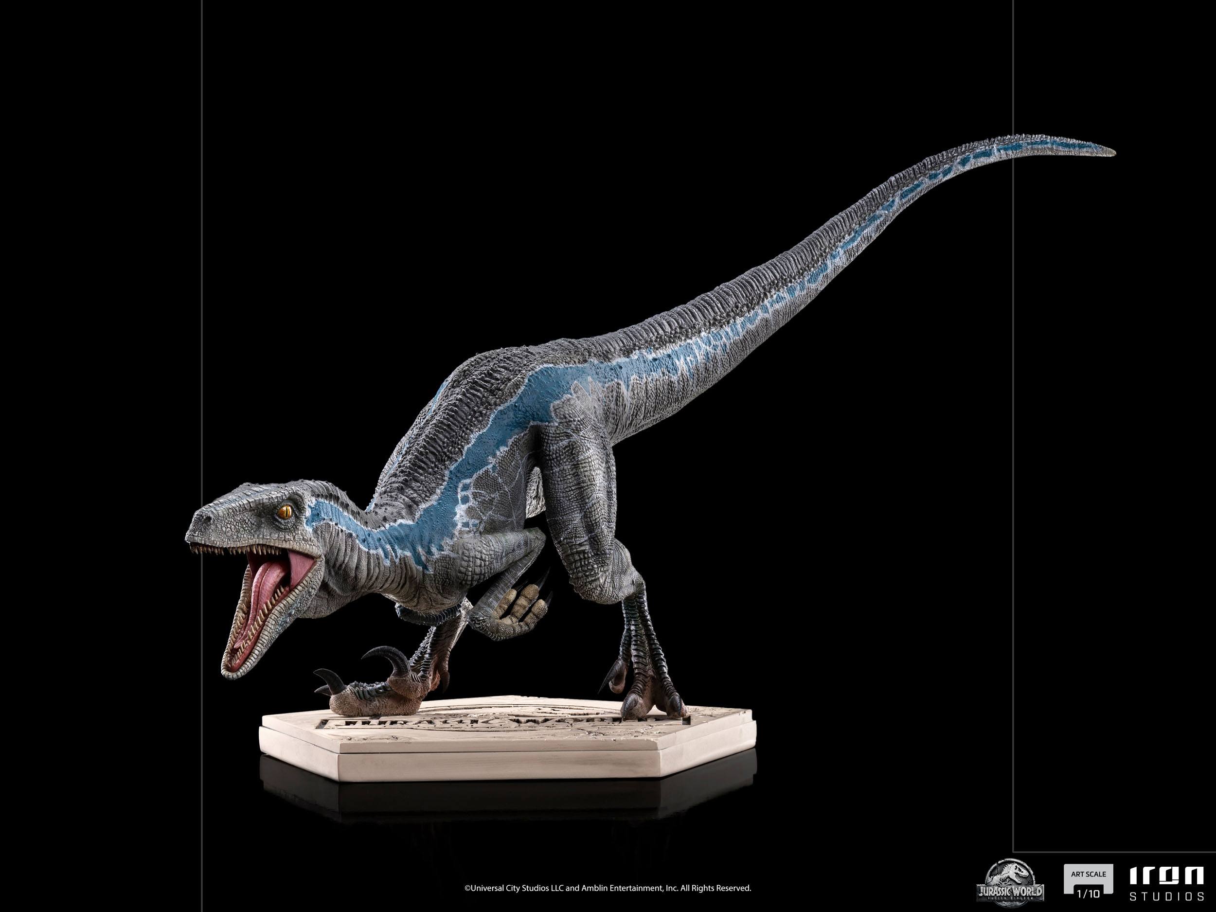 Blue Art Scale Iton Stuidios - Image 6