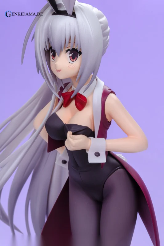 DRACU-RIOT! - Erina Olegovna Aveen Bunny Girl Ver. - Image 13