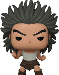 Fullmetal Alchemist Brotherhood POP! Animation Vinyl Figur Lan Fan(Ninja) - Image 42