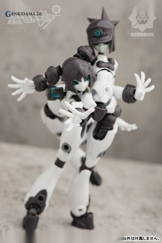Gene Interference Series QK-ST-002 Option Part Bundled Plastic Model Kit - Image 9