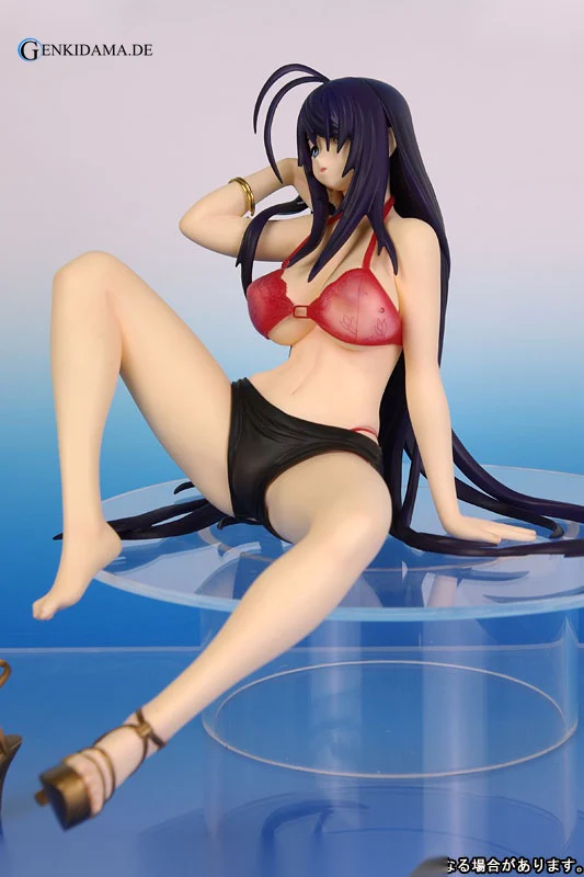 Ikkitousen DD - Unchou Kan-u -Summer Vacation - Image 13