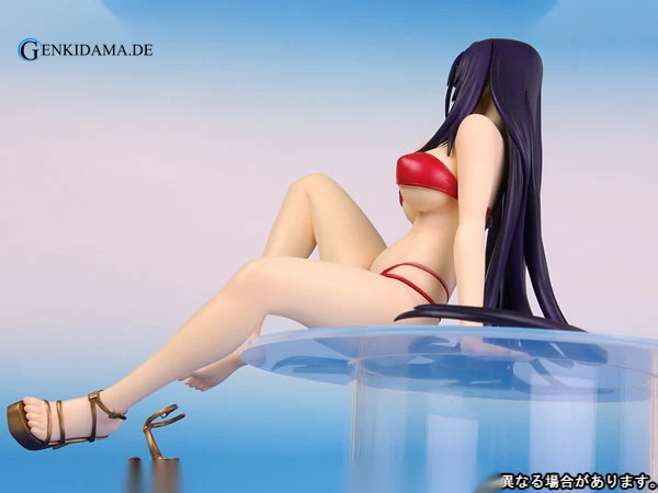 Ikkitousen DD - Unchou Kan-u -Summer Vacation - Image 2