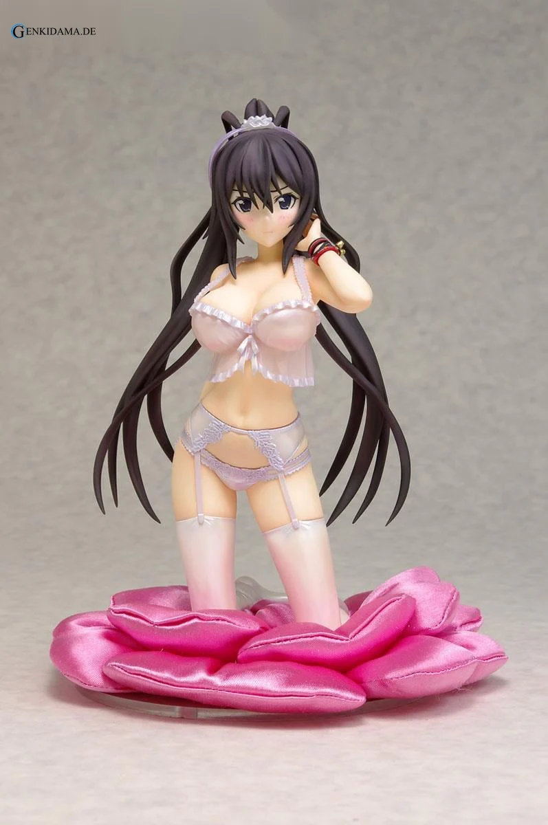 Lingerie Style Shinonono Hoki (PVC Figure)