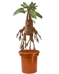 Mario Kart Mocchi-Mocchi Plüschfigur Super-Pilz - Image 17