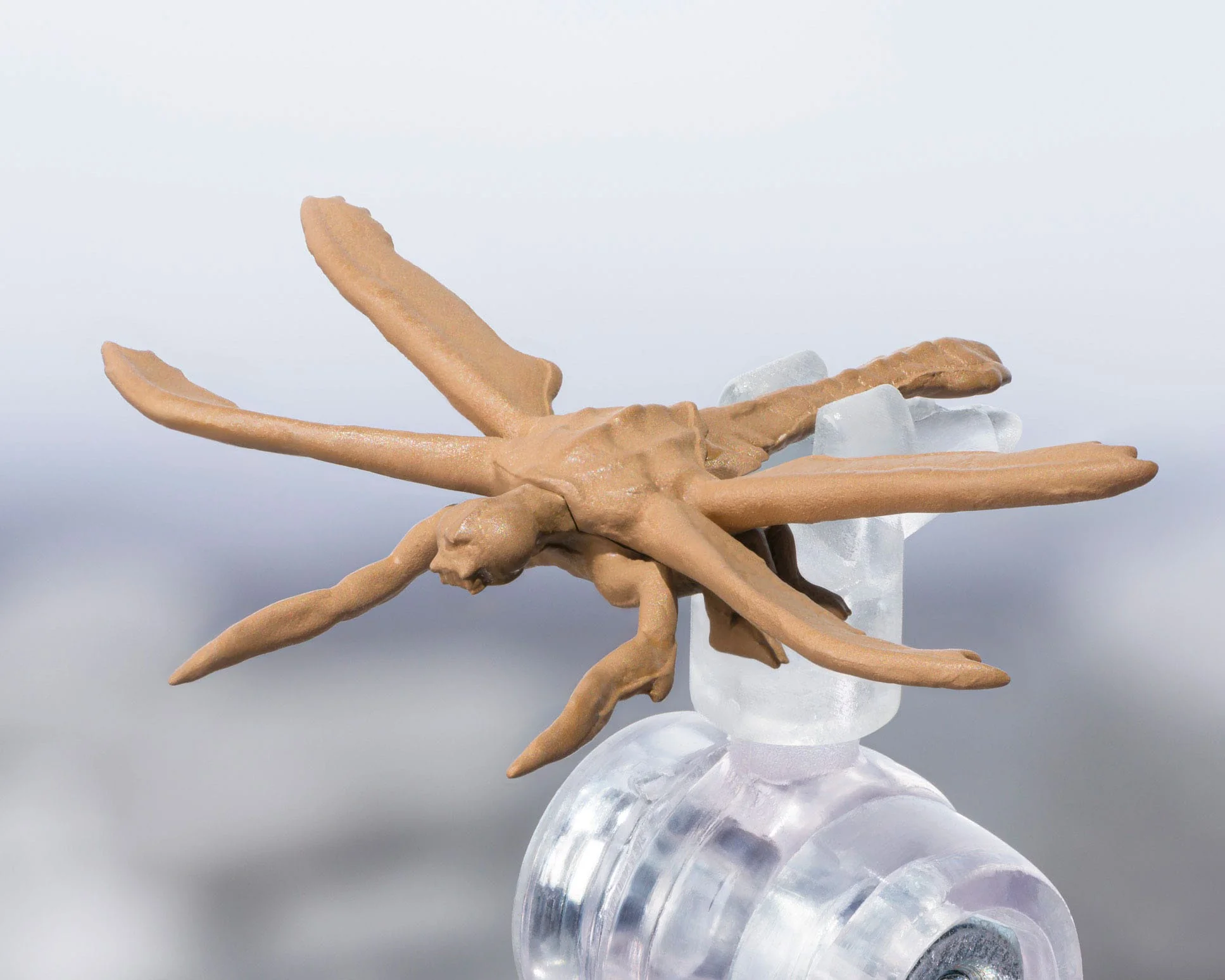 Megaguirus Evolution Set S.H. Monster Arts Bandai Tamashii Nations - Image 7