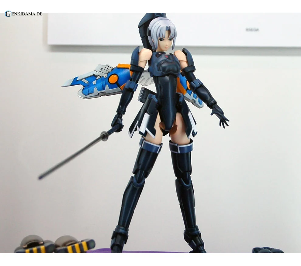 RAcaseal Shino Ver.APSY (Plastic model) - Image 21