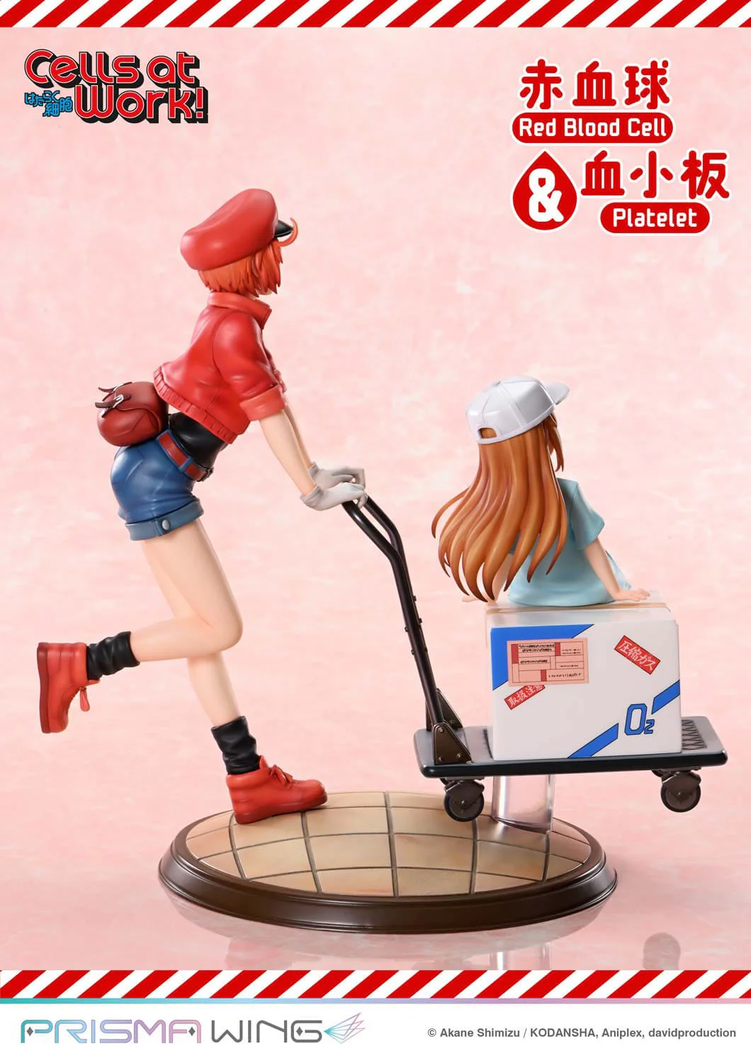 Red Blood Cell & Platelet Prisma Wing Prime 1 Studio - Image 7