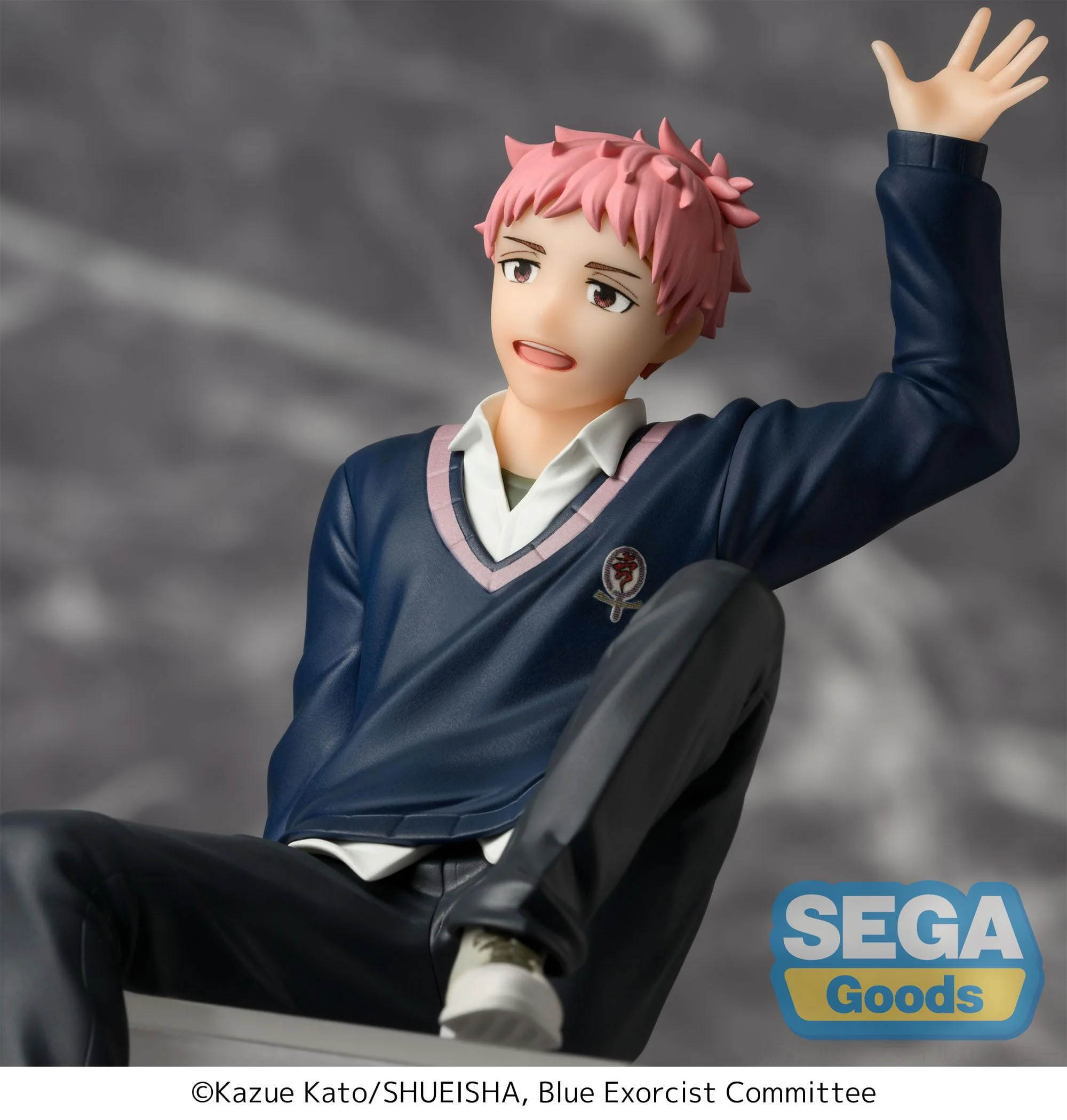 Renzo Shima PM Perching Sega - Image 5