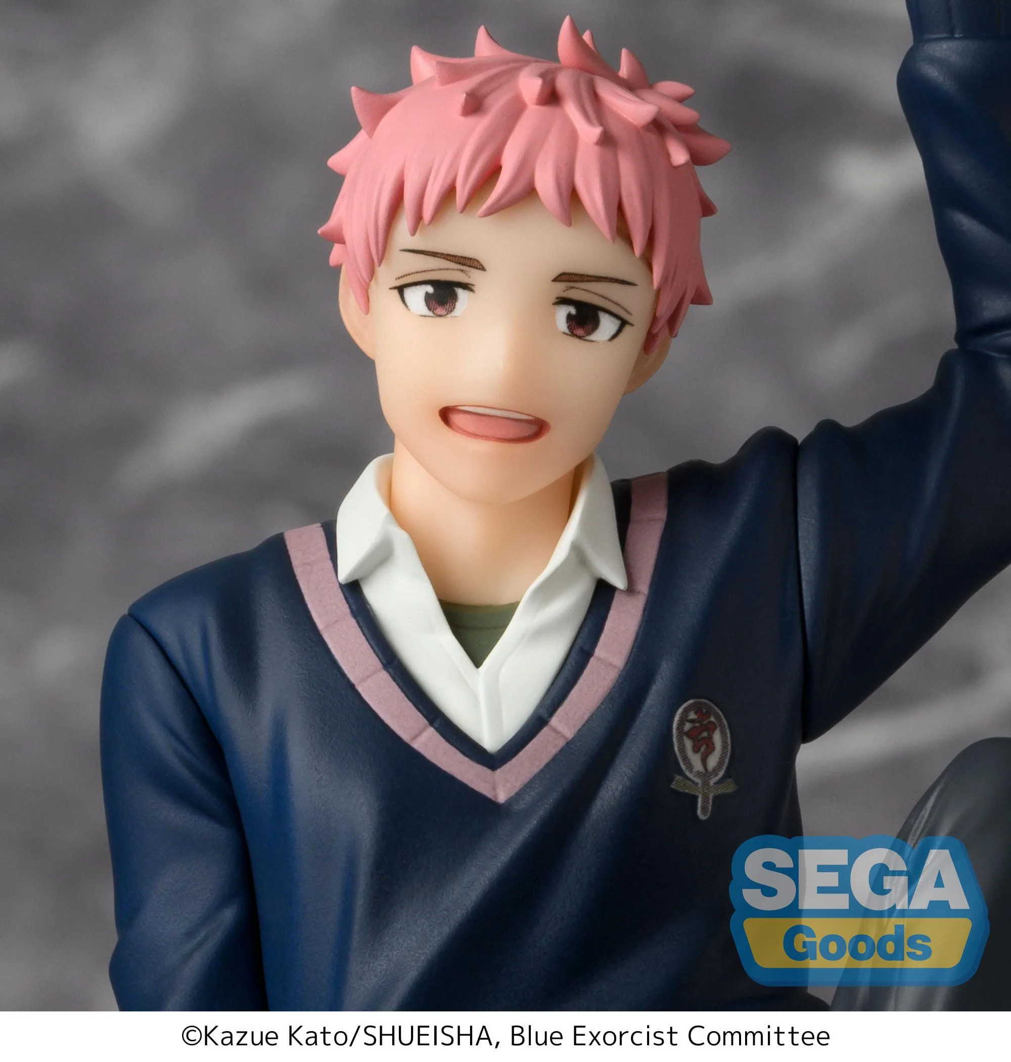 Renzo Shima PM Perching Sega - Image 6