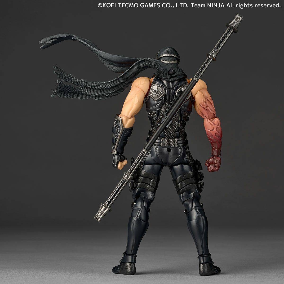 Revoltech Amazing Yamaguchi Ryu Hayabusa "NINJA GAIDEN 3: Razor's Edge" Ver. Kaiyodo - Image 3