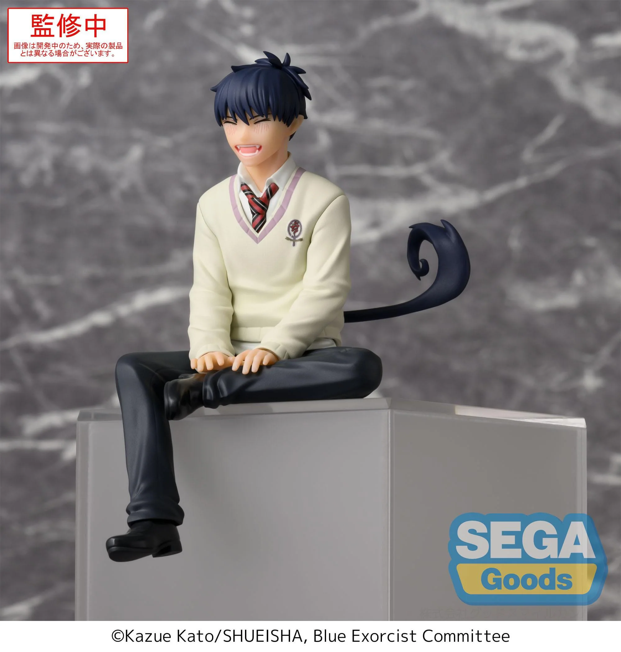 Rin Okumura PM Perching Sega - Image 4