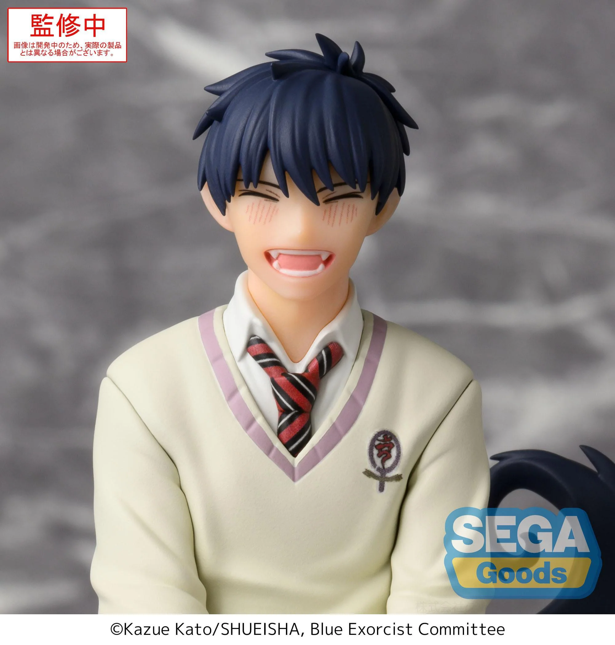 Rin Okumura PM Perching Sega - Image 6