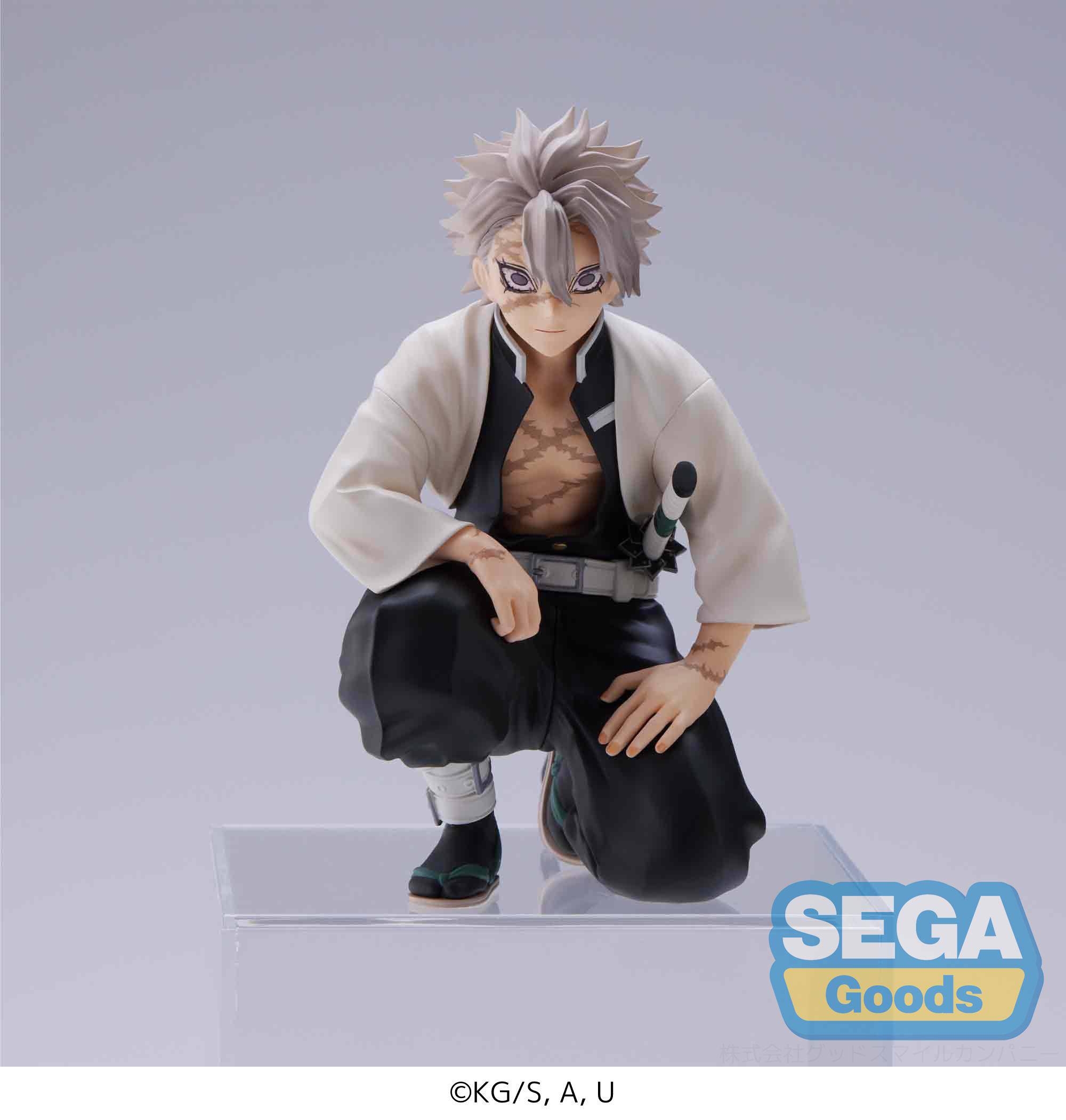 Sanemi Hashira PM Perching Sega - Image 9