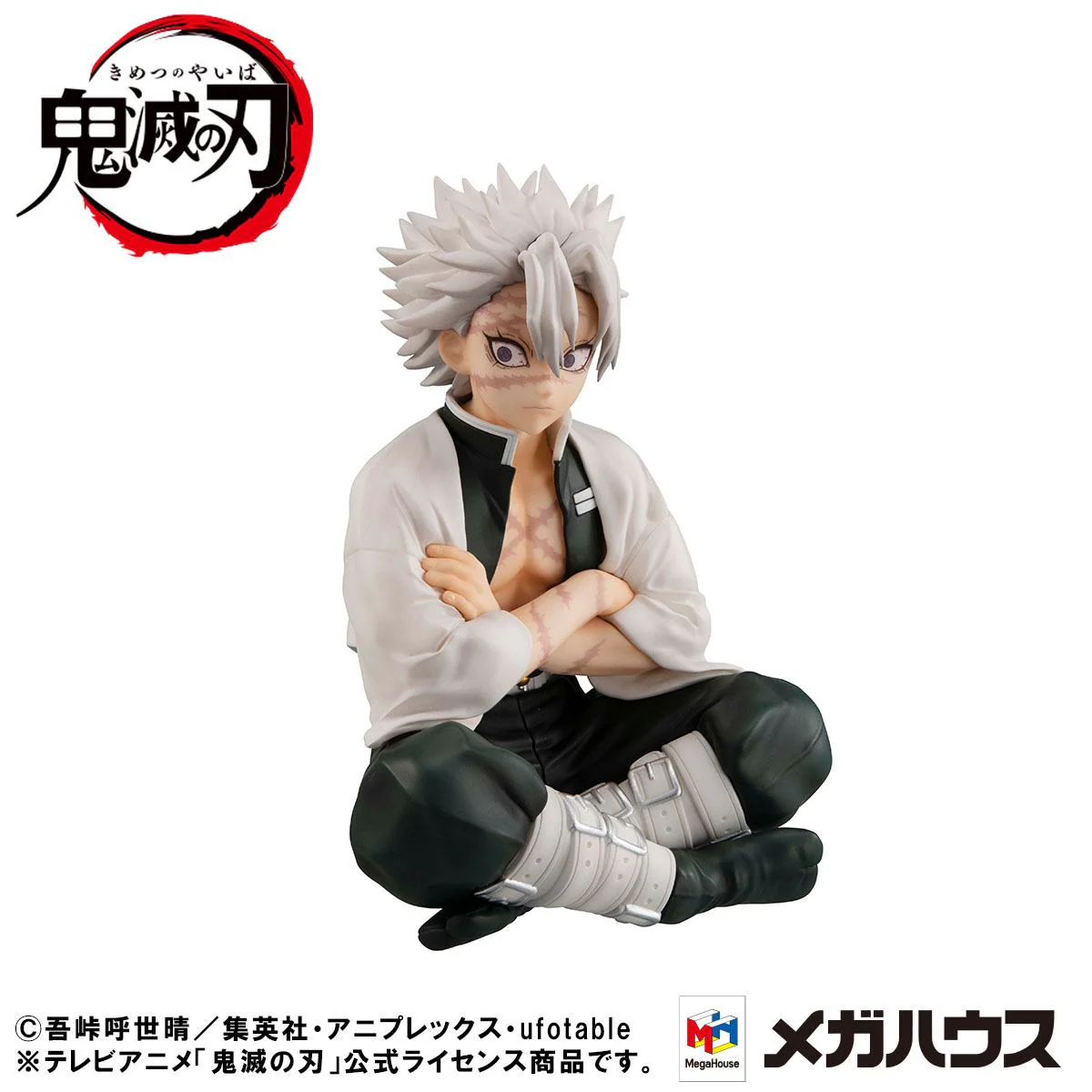 Shinazugawa-san Palm Size G.E.M. Special Edition MegaHouse - Image 3