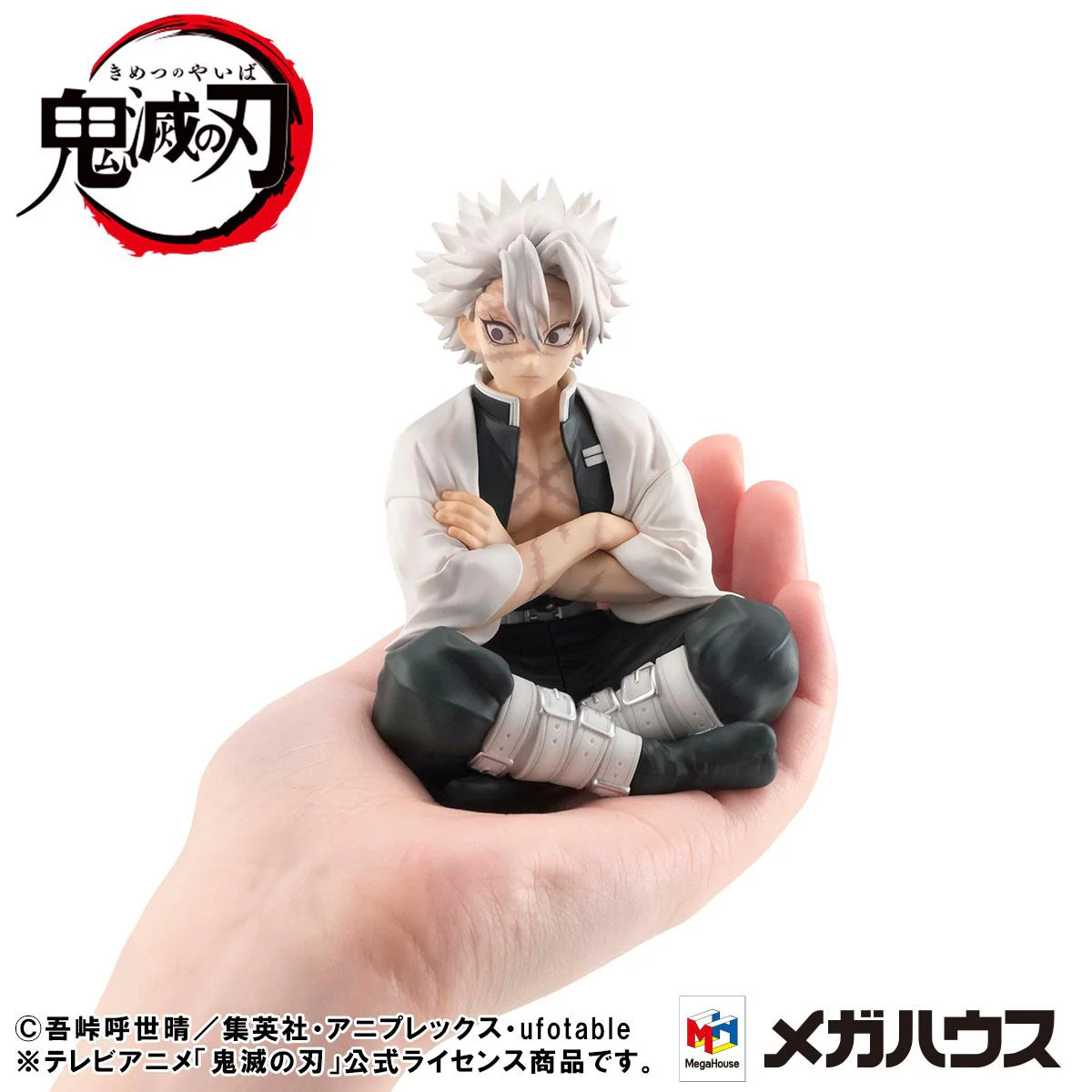 Shinazugawa-san Palm Size G.E.M. Special Edition MegaHouse - Image 4