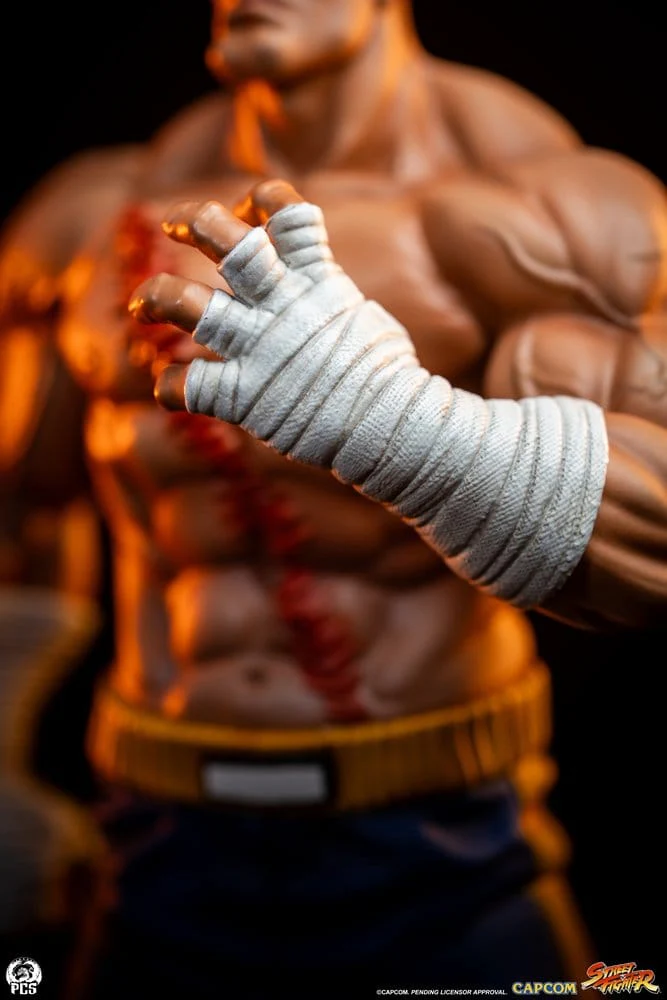 Street Fighter Street Jam Statuen 1/10 Sagat & Juli 24 cm - Image 6