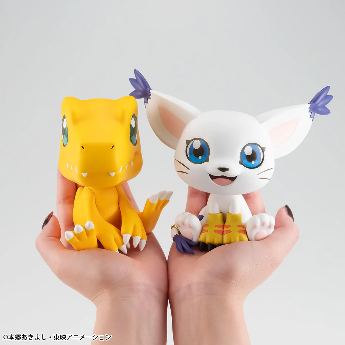 Tailmon Look Up MegaHouse - Image 9