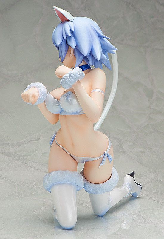 Tatenashi Sarashiki Cat Ver. IS (Infinite Stratos)  FREEing - Image 4