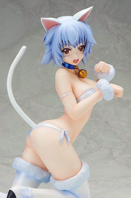 Tatenashi Sarashiki Cat Ver. IS (Infinite Stratos)  FREEing - Image 5