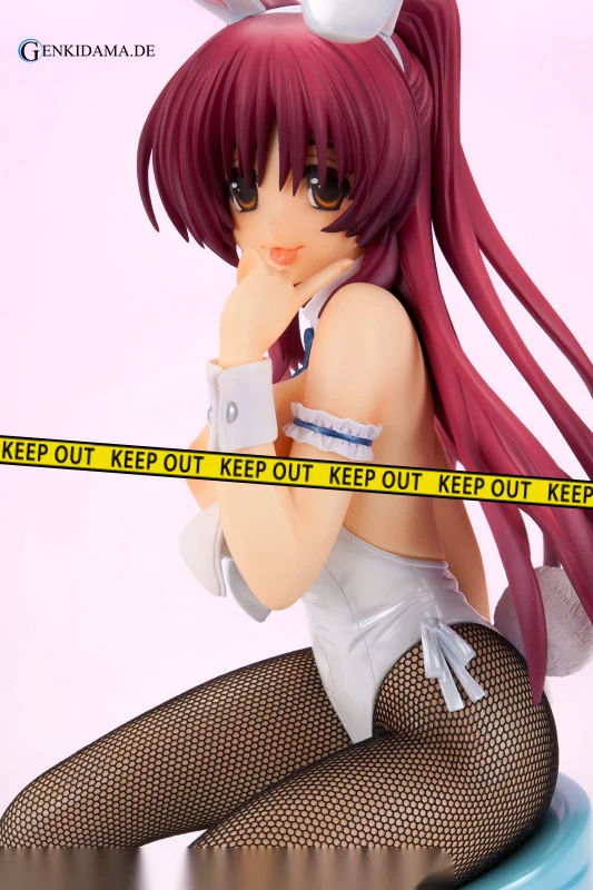 ToHeart2 - Tamaki Kosaka White Bunny Ver. - Image 20