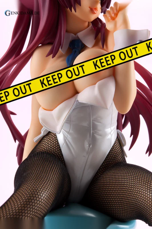 ToHeart2 - Tamaki Kosaka White Bunny Ver. - Image 24
