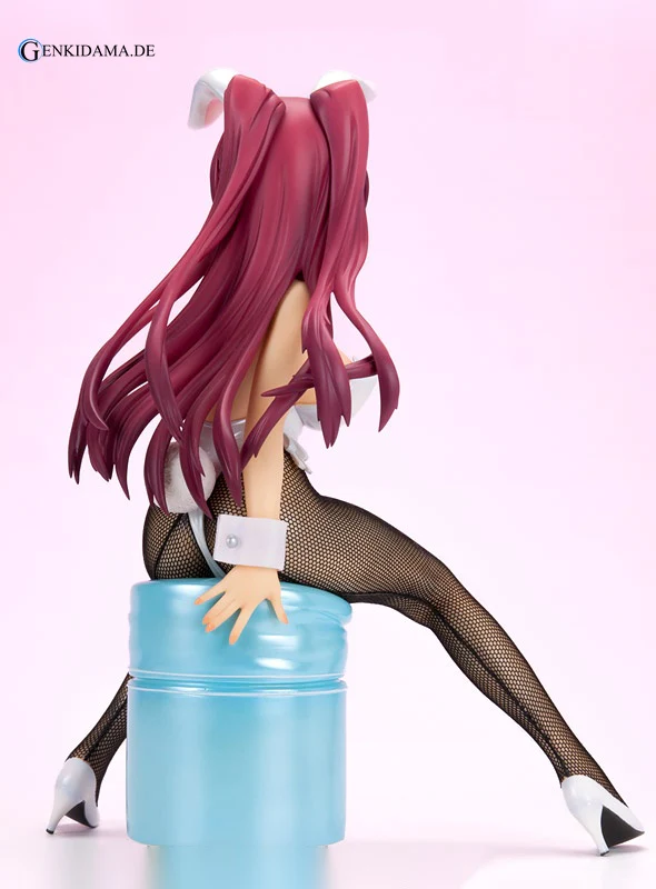 ToHeart2 - Tamaki Kosaka White Bunny Ver. - Image 4