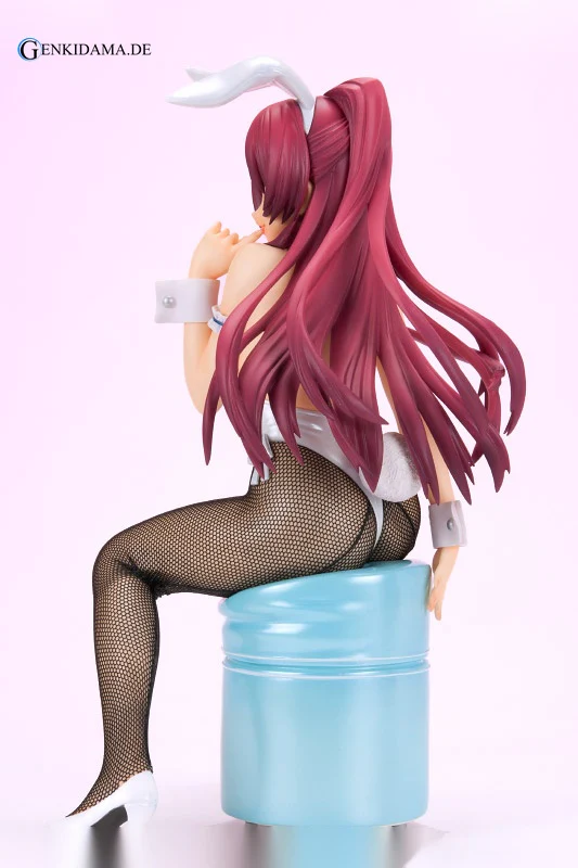 ToHeart2 - Tamaki Kosaka White Bunny Ver. - Image 5