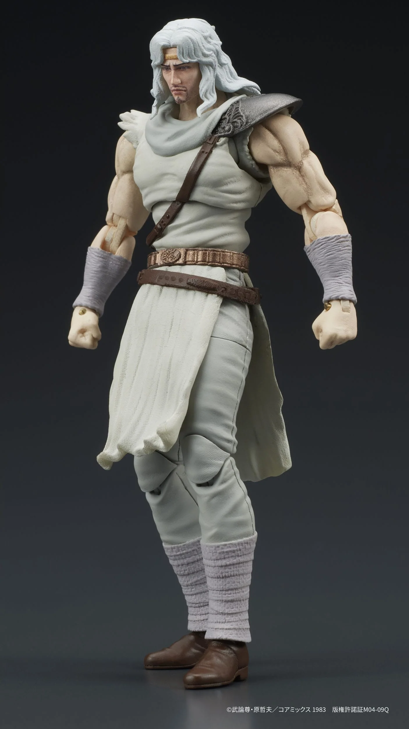 Toki Fist of the North Star Digaction - Image 2