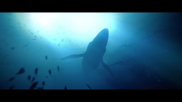Under The Waves Deluxe Edition - Image 5