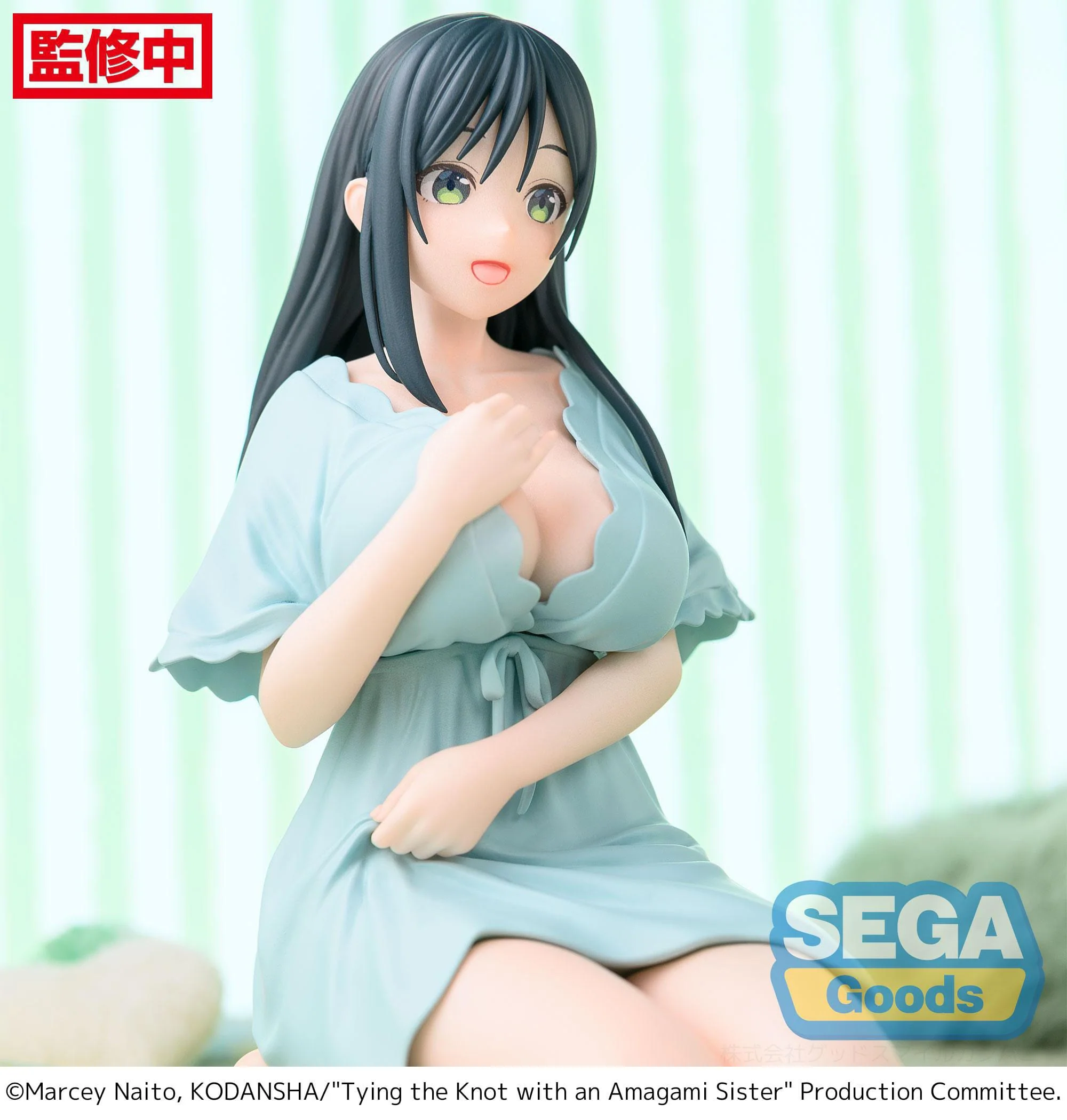 Yae Amagami Yumemirize Sega - Image 4